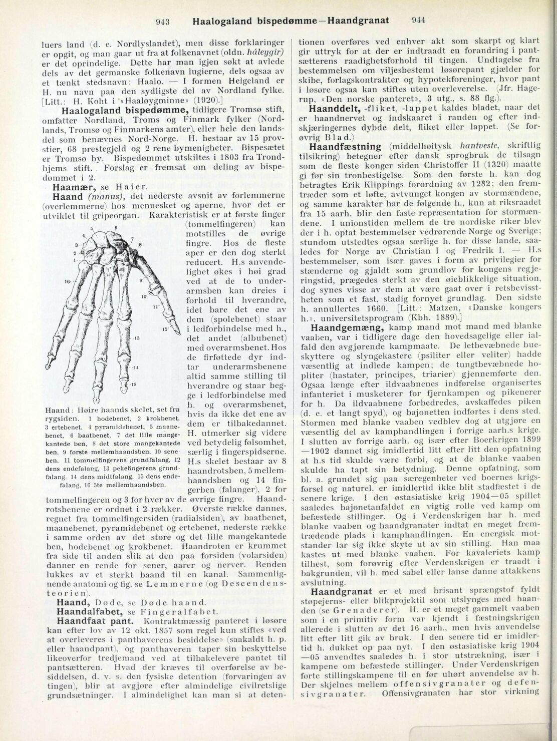 scanned image