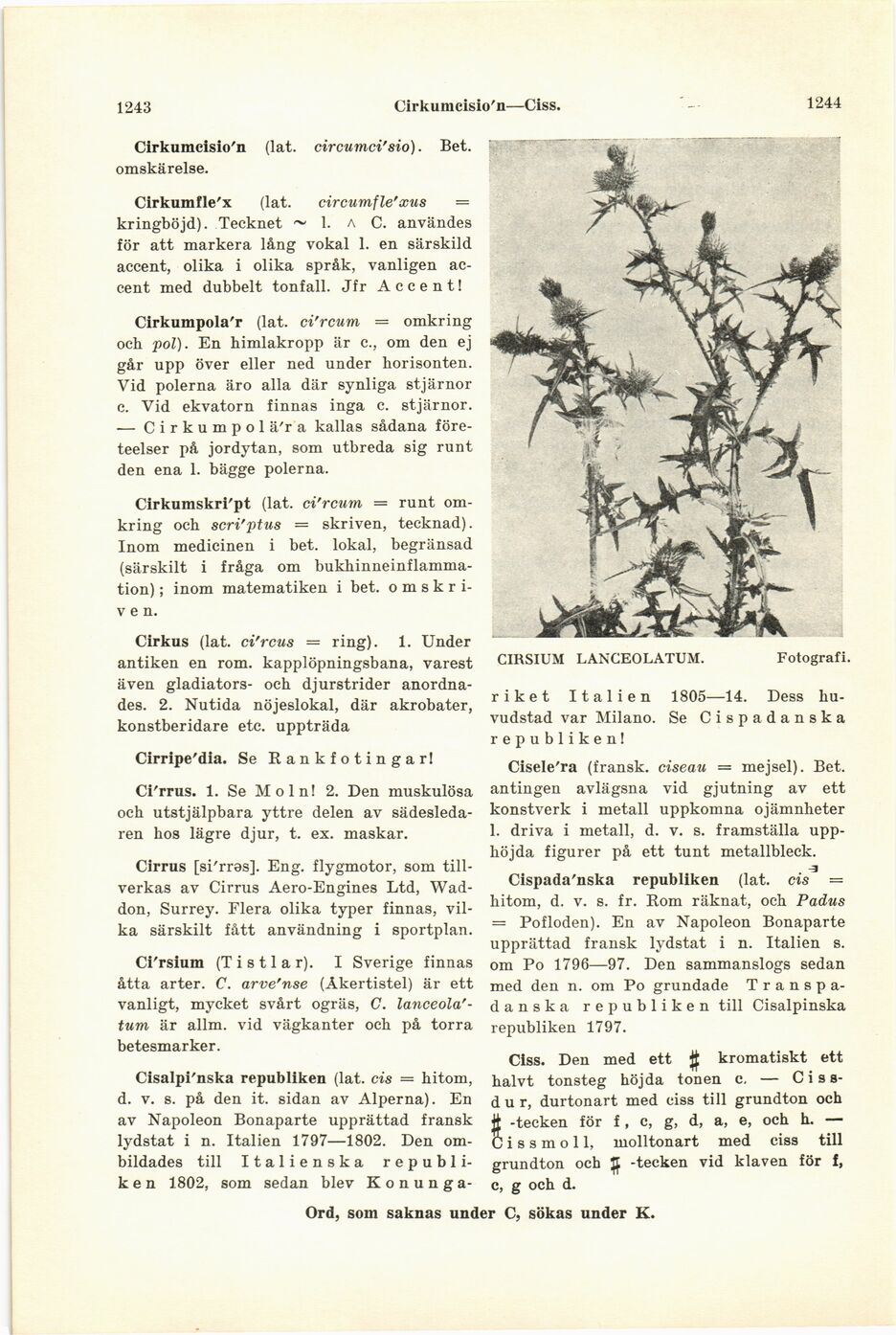 scanned image
