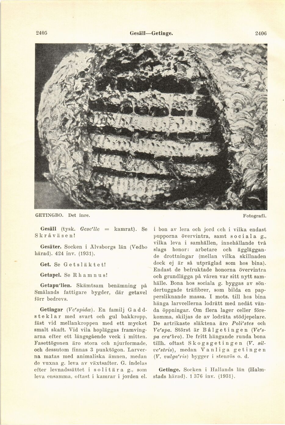 scanned image