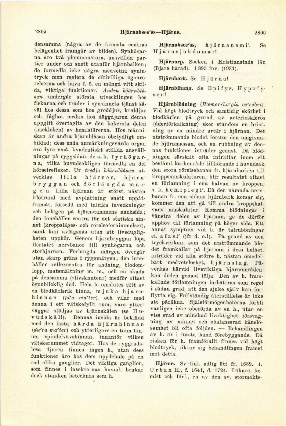 scanned image
