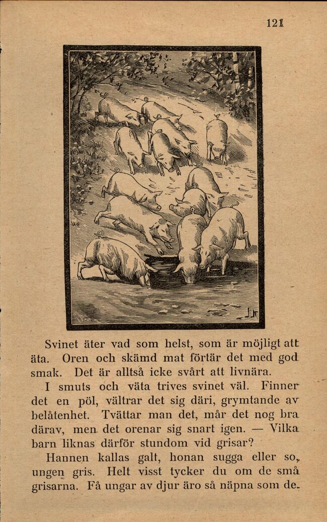 scanned image