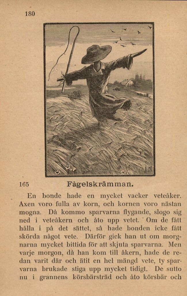 scanned image
