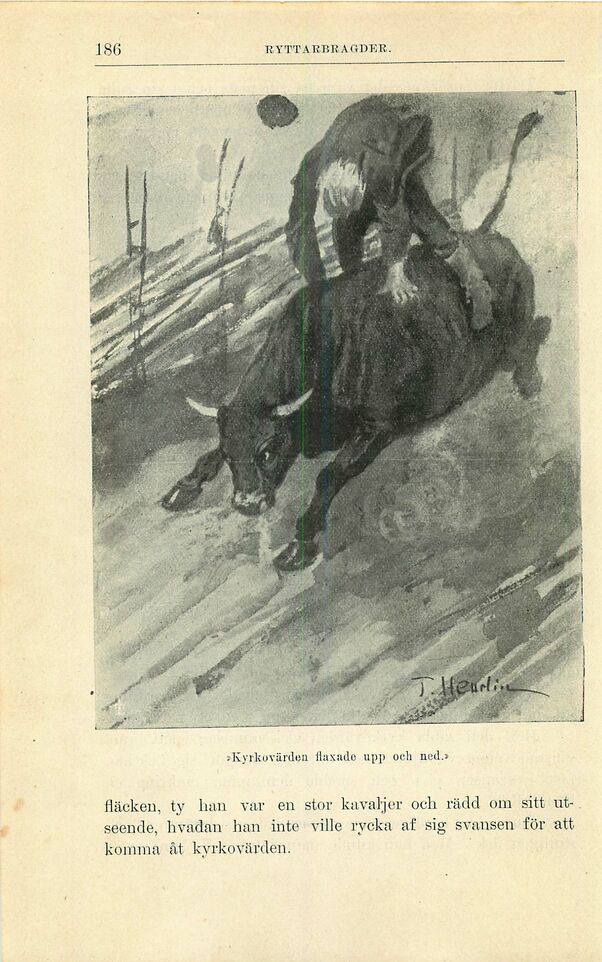 scanned image