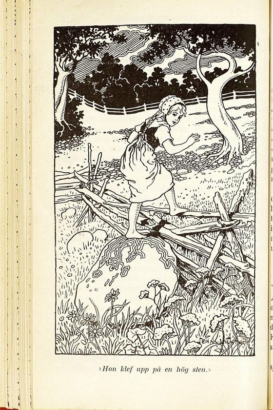 scanned image