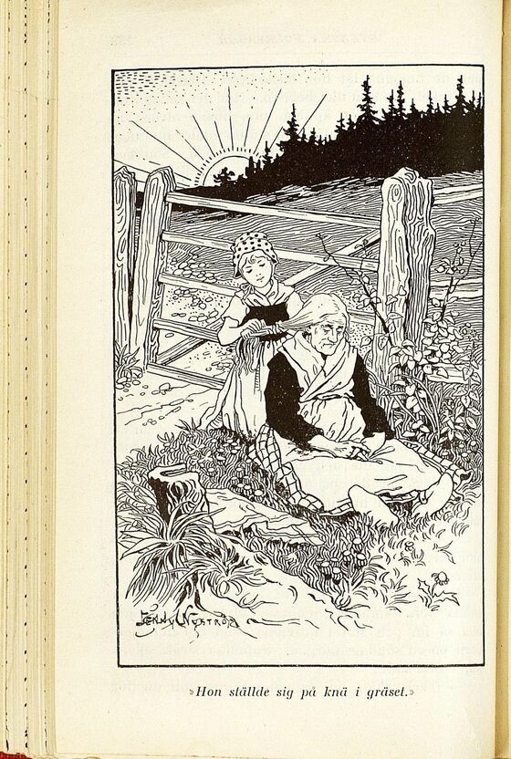 scanned image