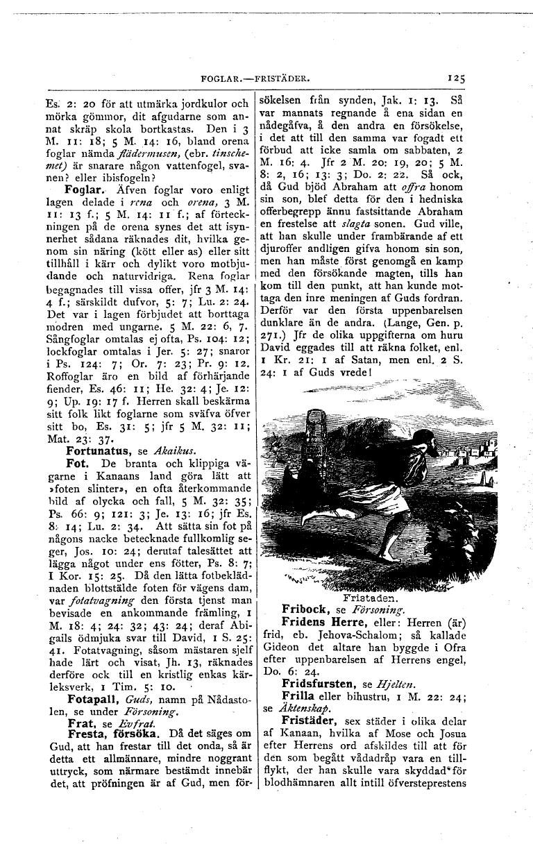 scanned image