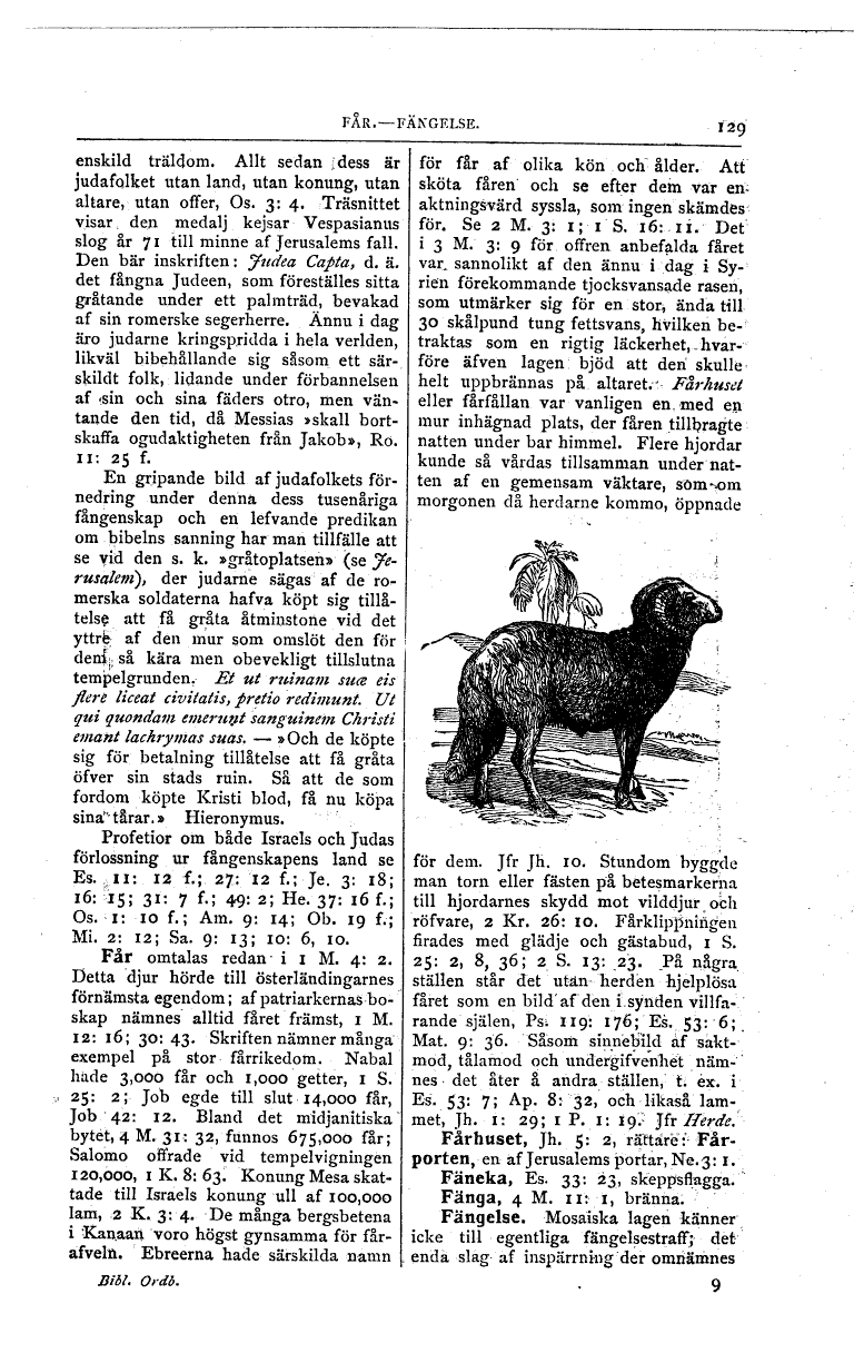scanned image