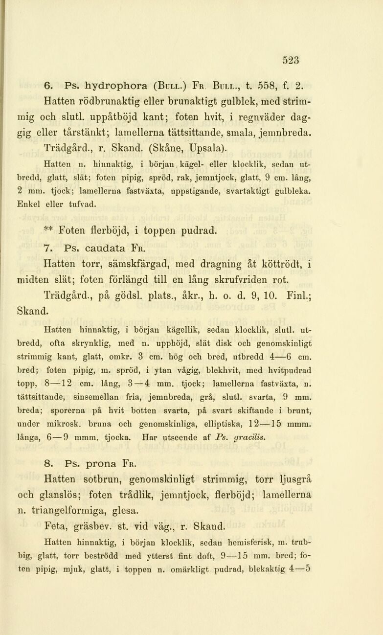 scanned image