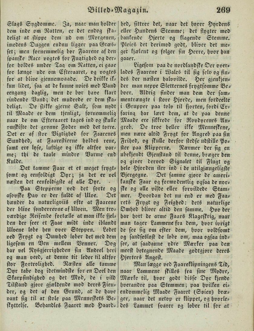 scanned image