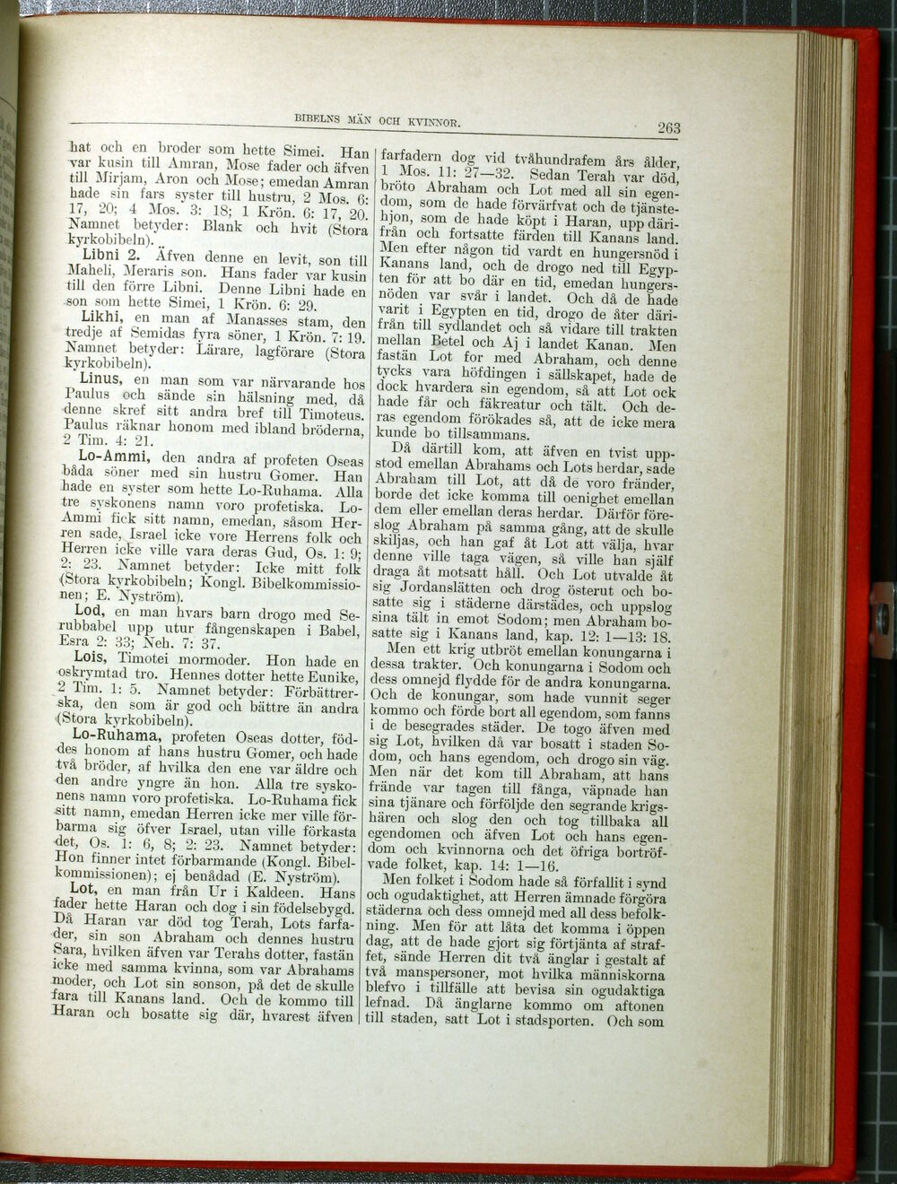 scanned image