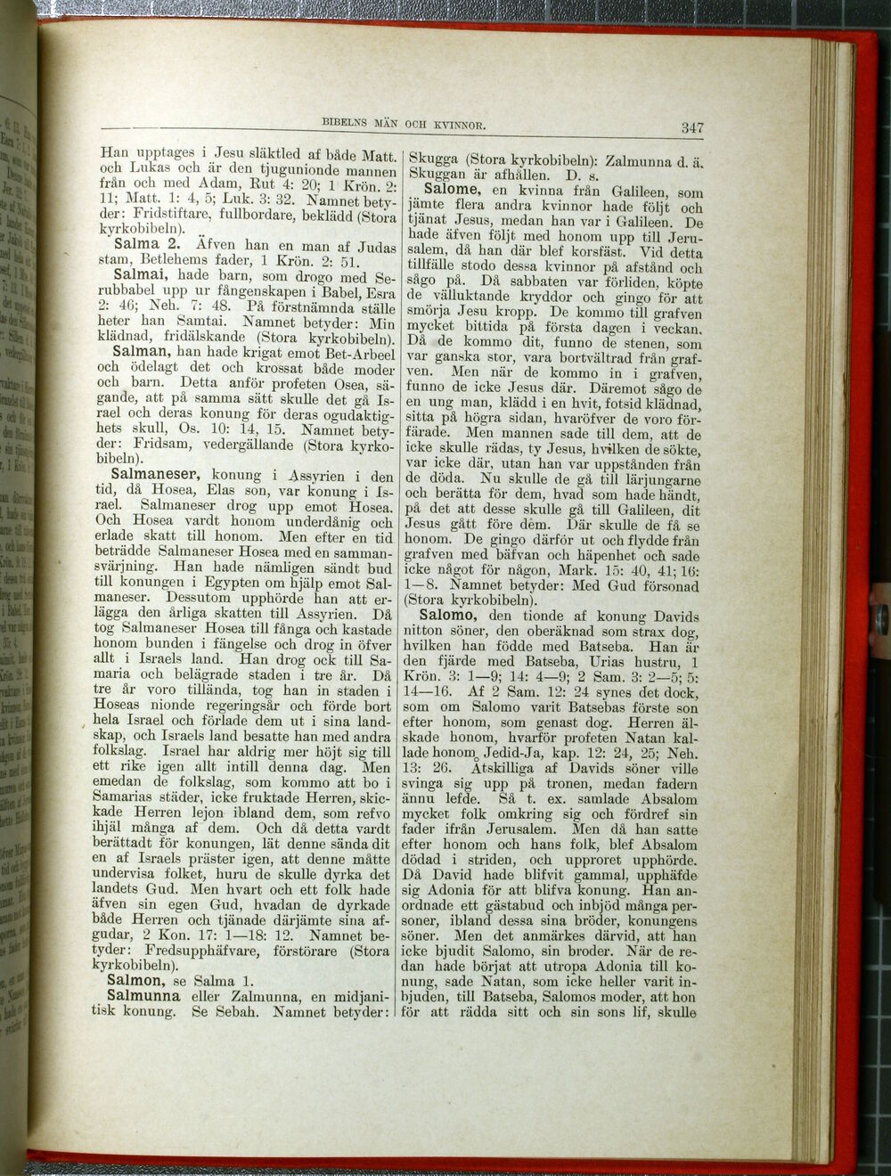 scanned image