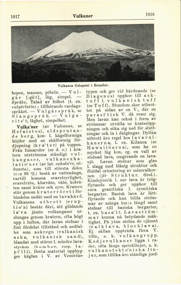 scanned image