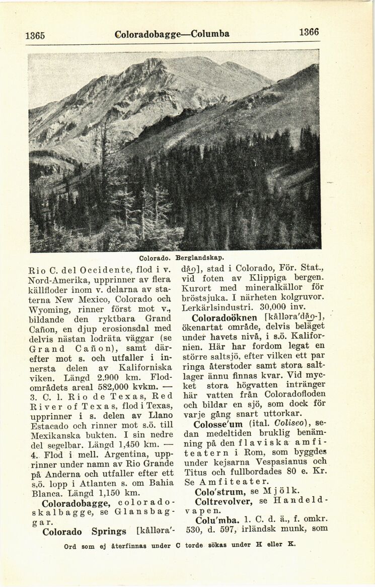 scanned image