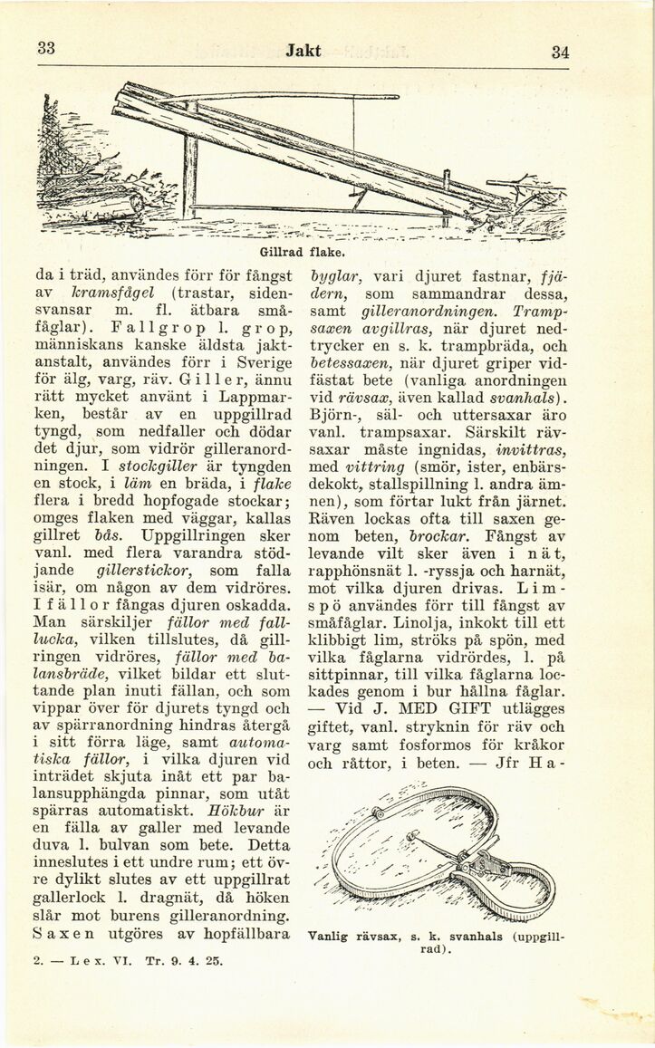 scanned image