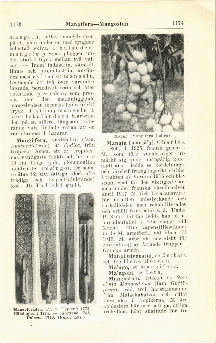 scanned image