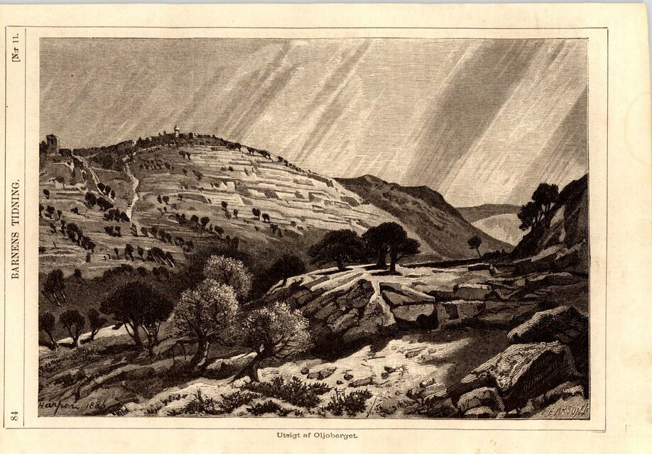 scanned image