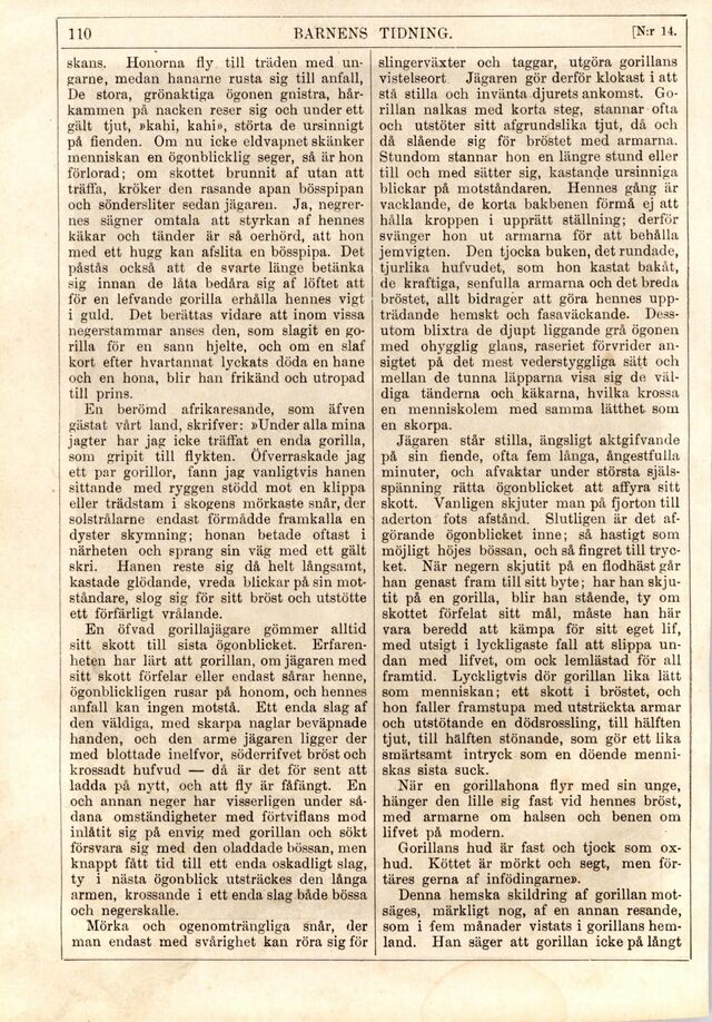 scanned image