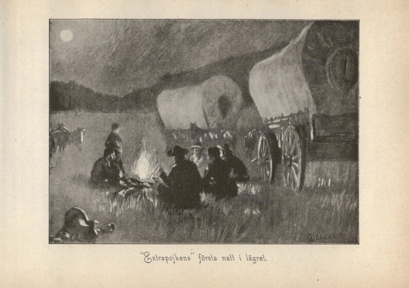scanned image