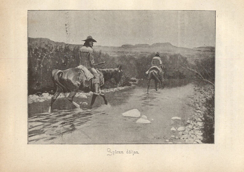 scanned image