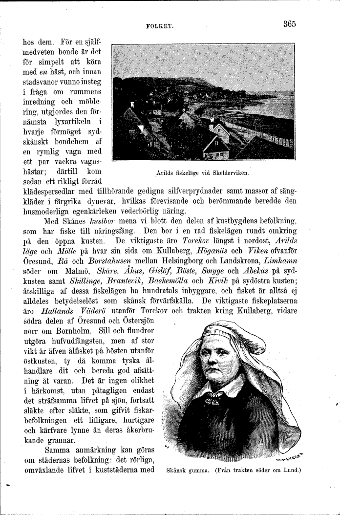 scanned image