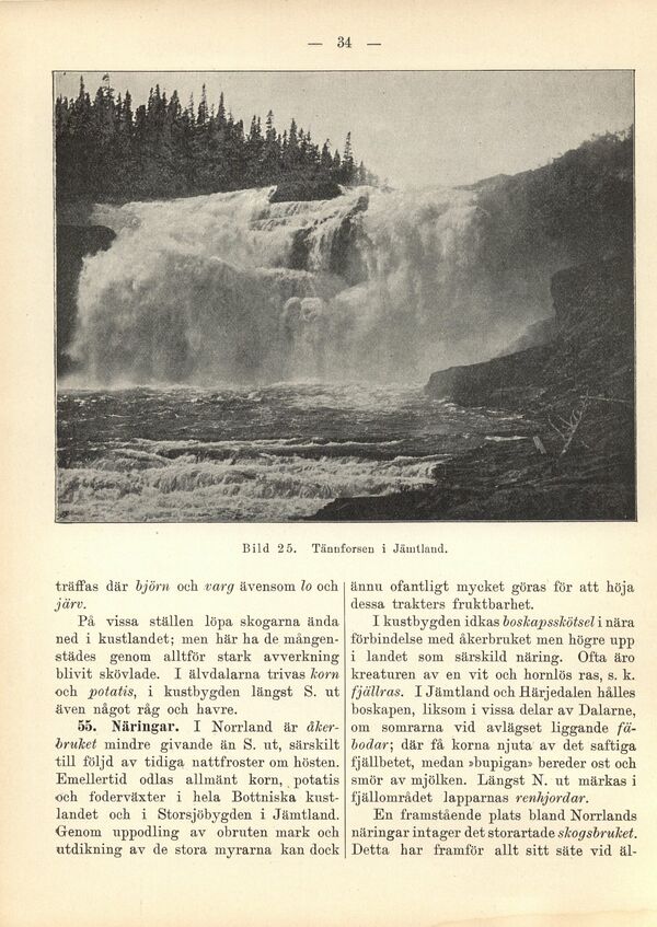 scanned image