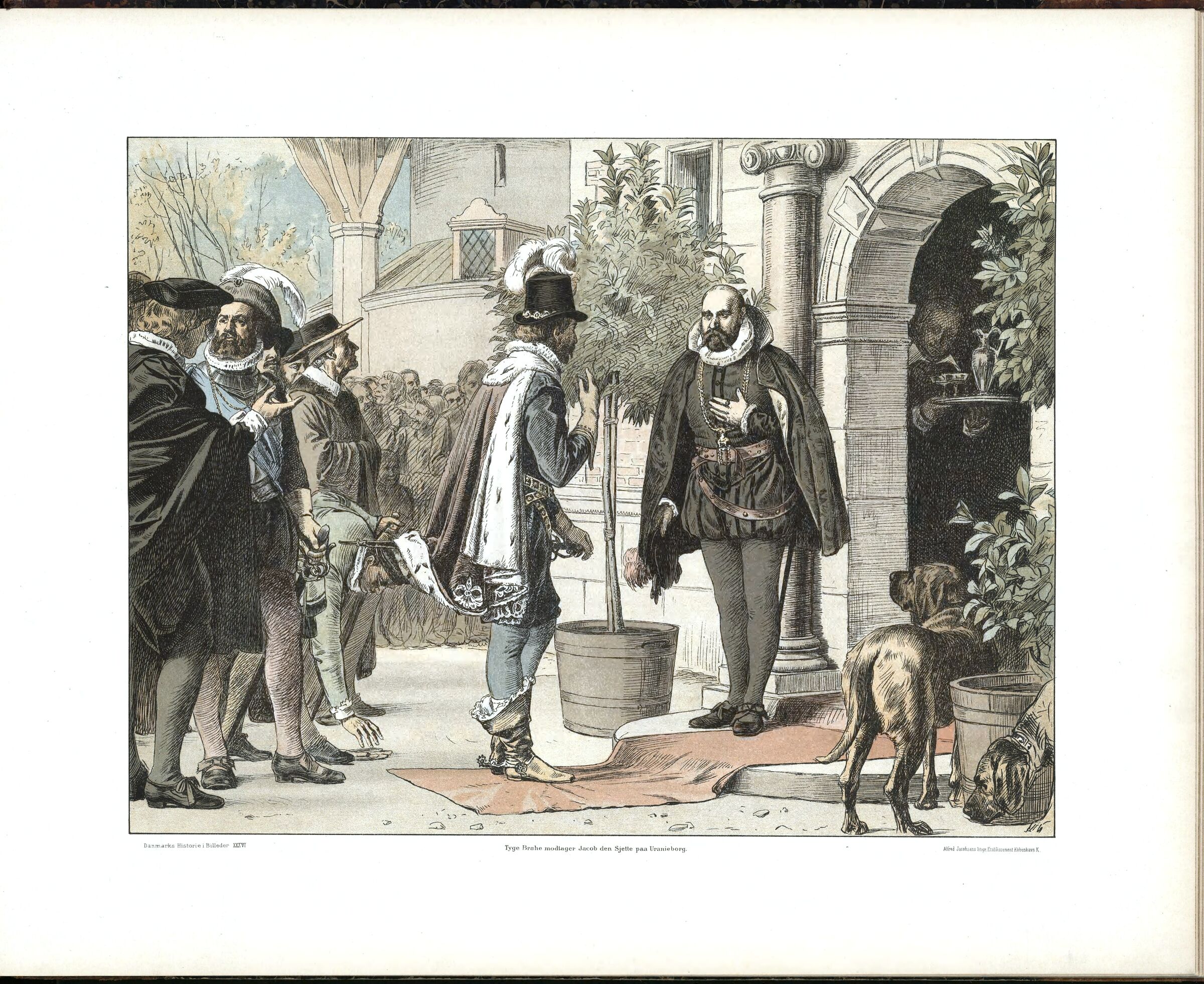 scanned image