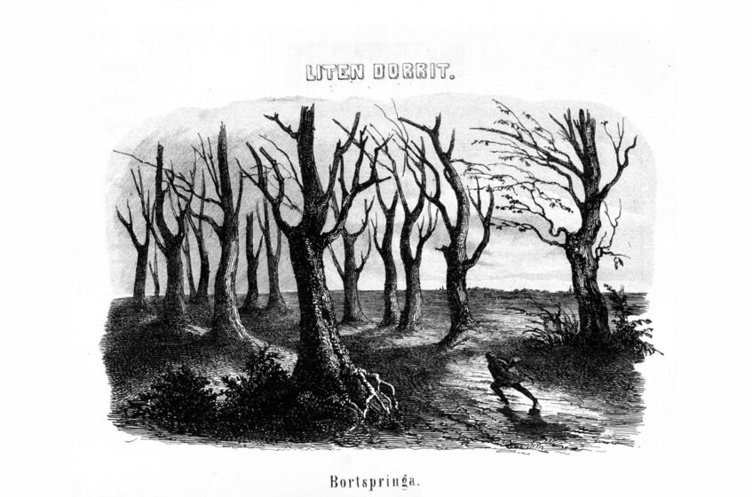 scanned image