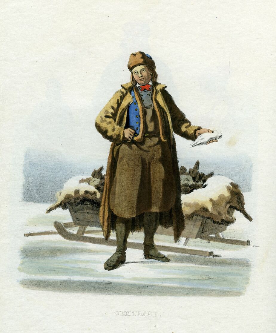scanned image