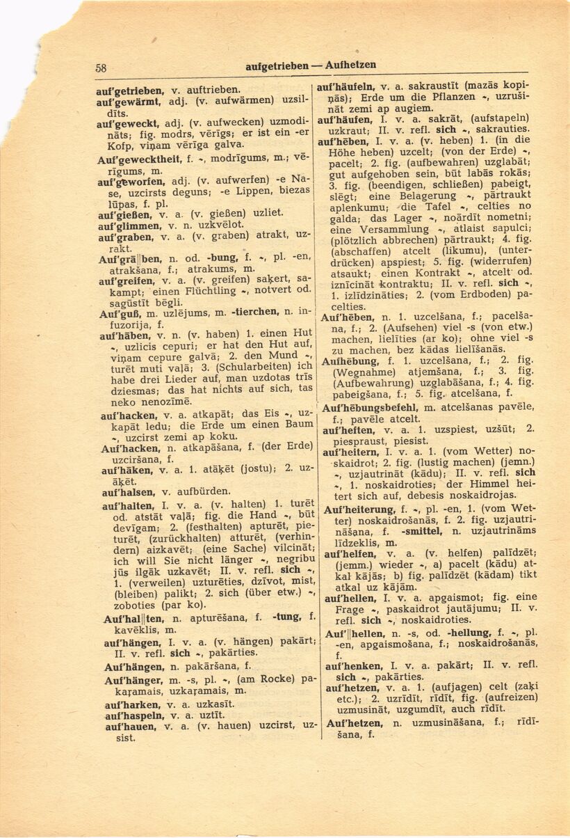 scanned image