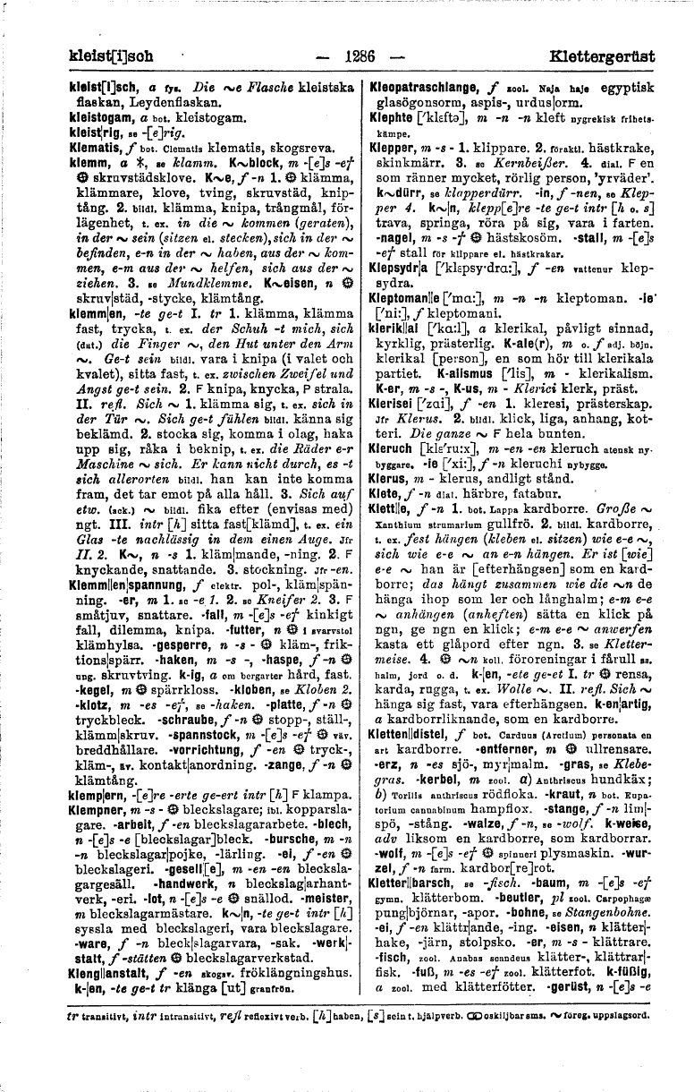 scanned image