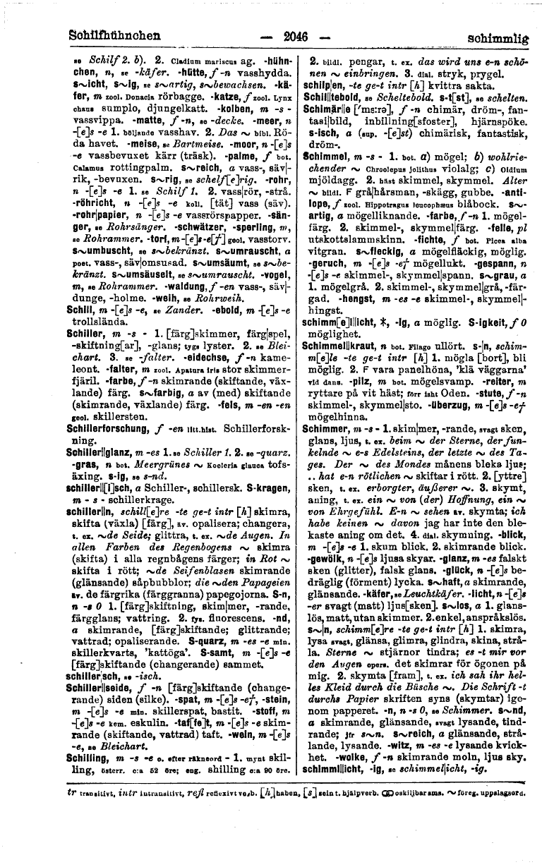 scanned image