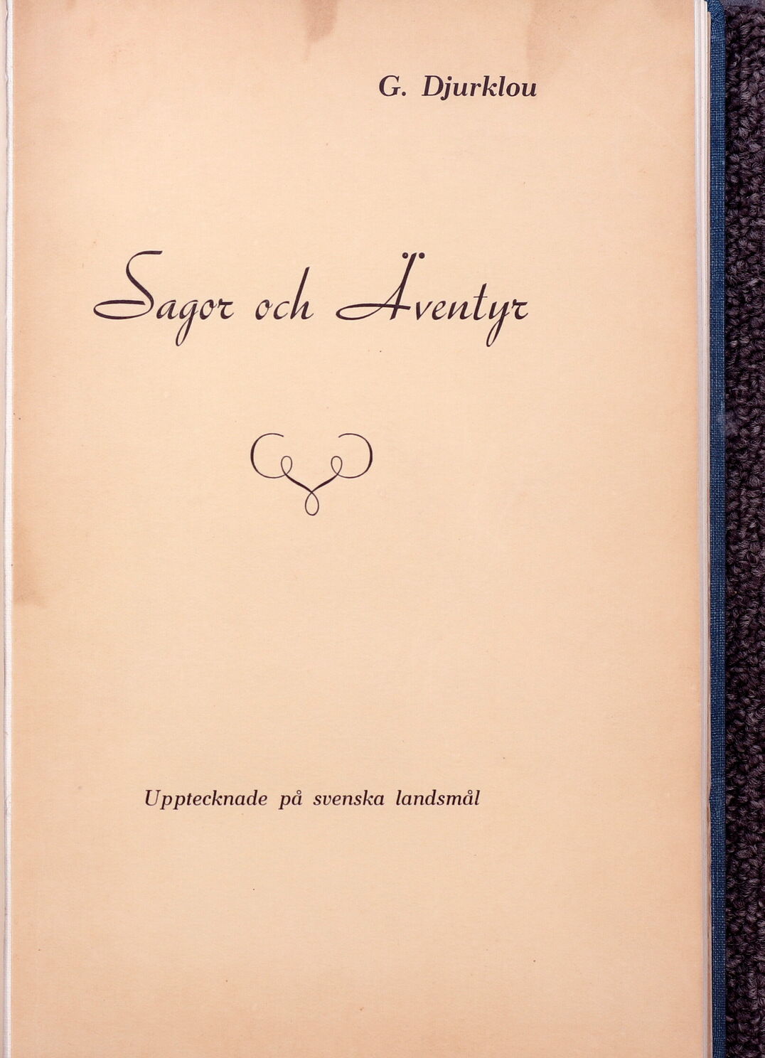 scanned image