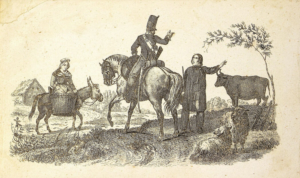 scanned image