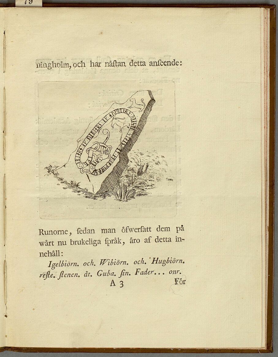 scanned image