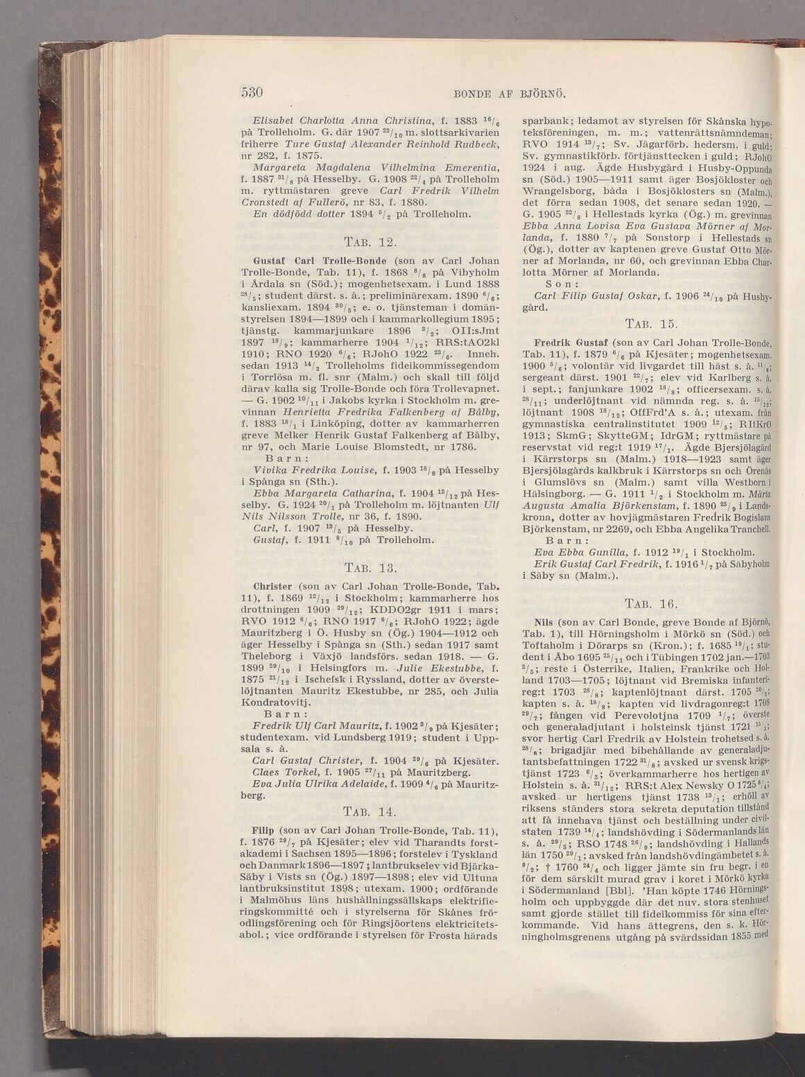 scanned image