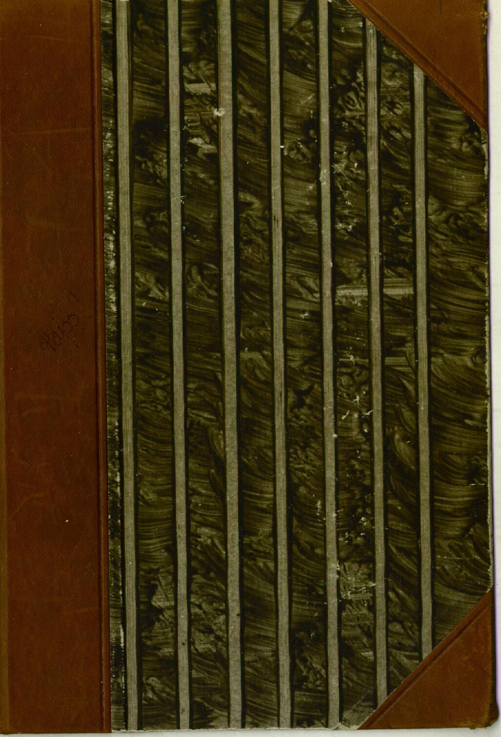scanned image