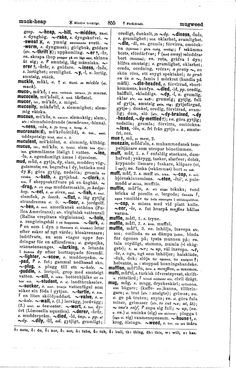scanned image