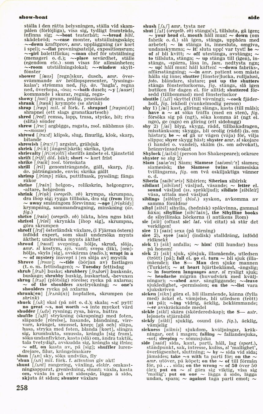 scanned image