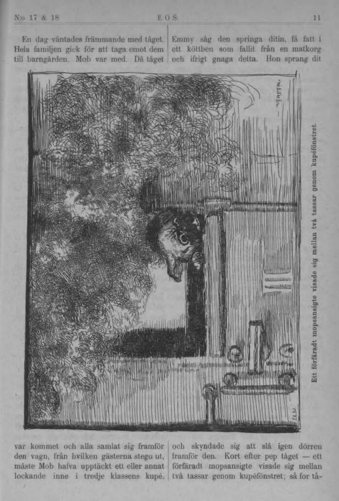 scanned image