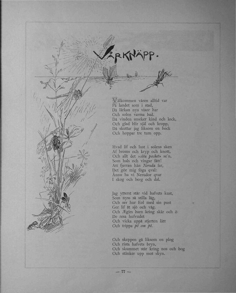 scanned image