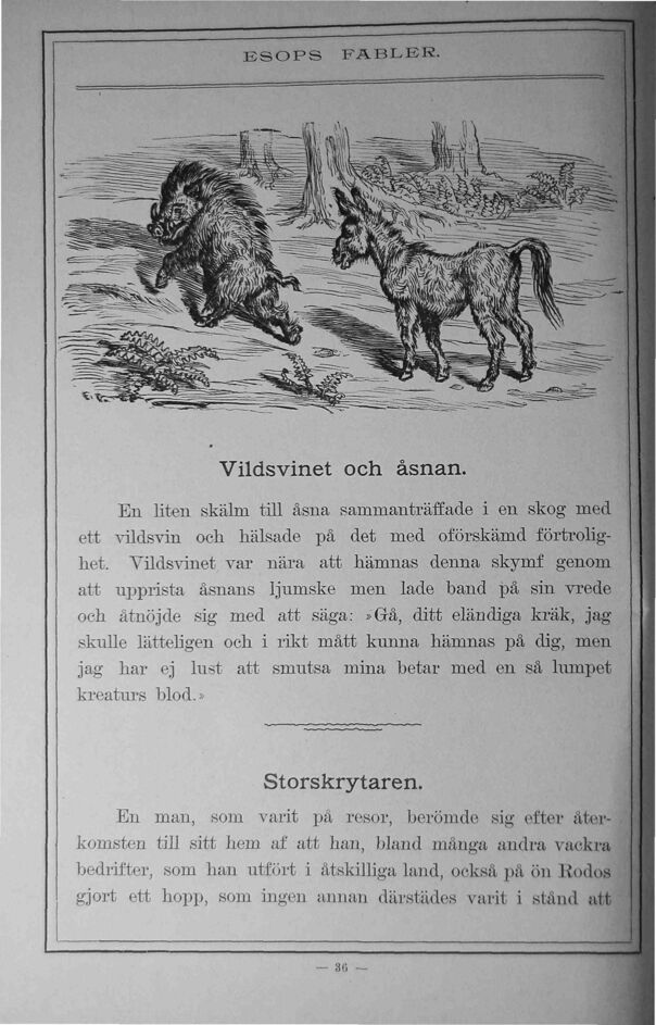 scanned image