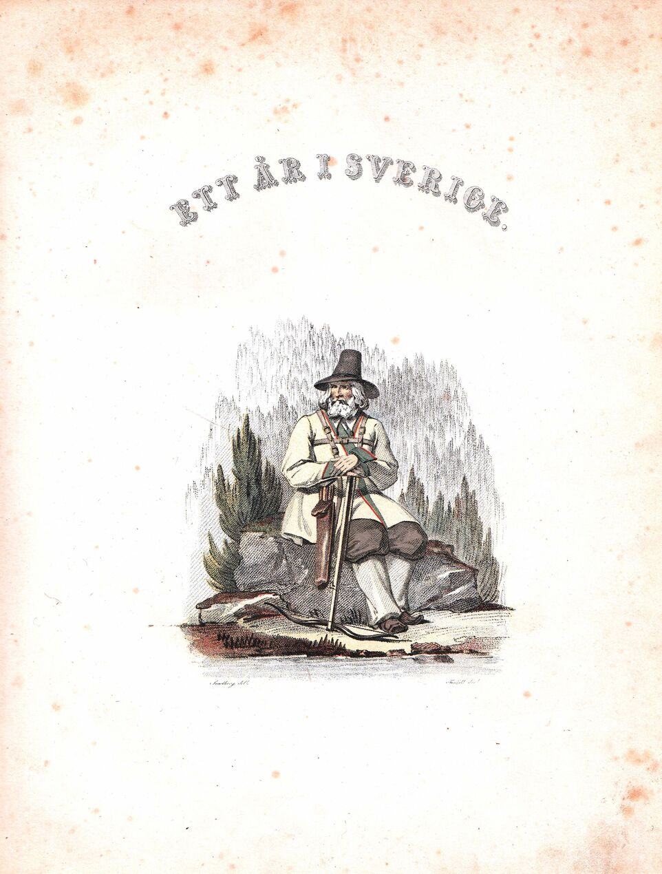 scanned image