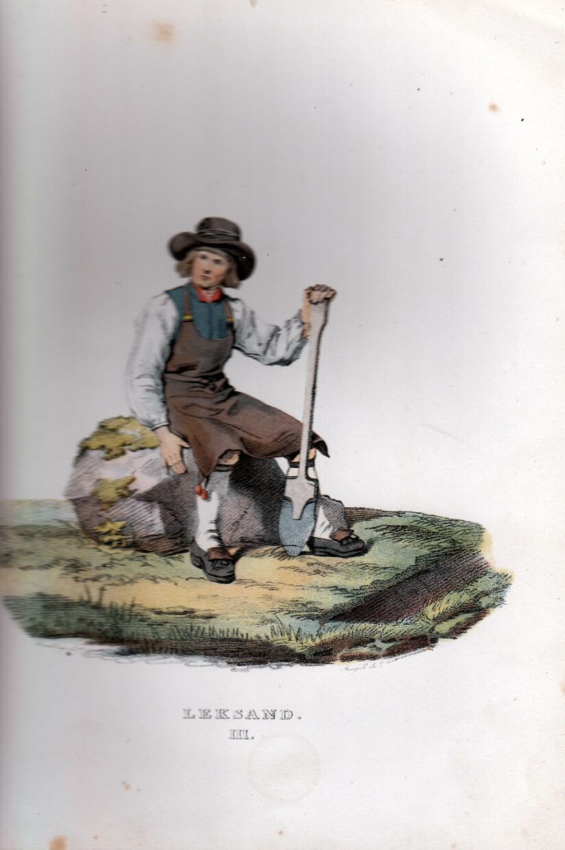 scanned image