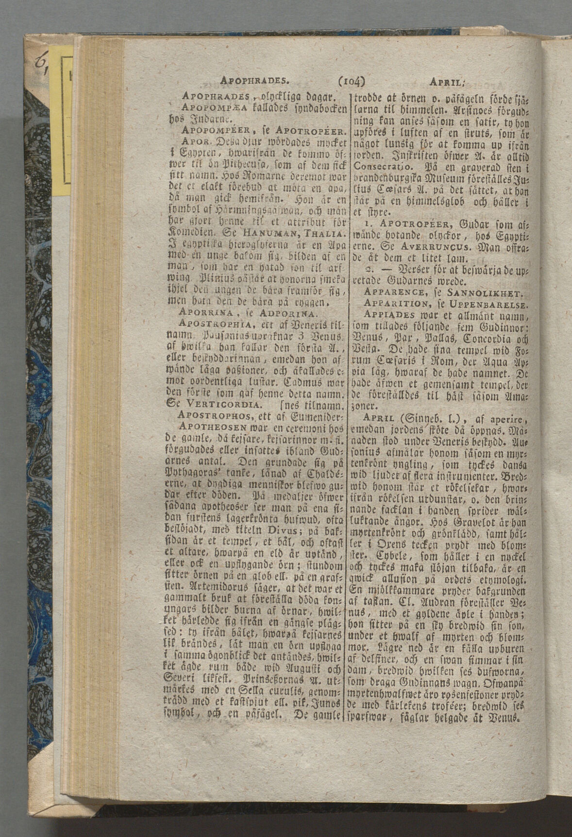 scanned image