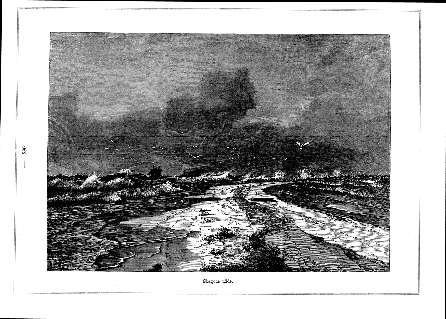 scanned image