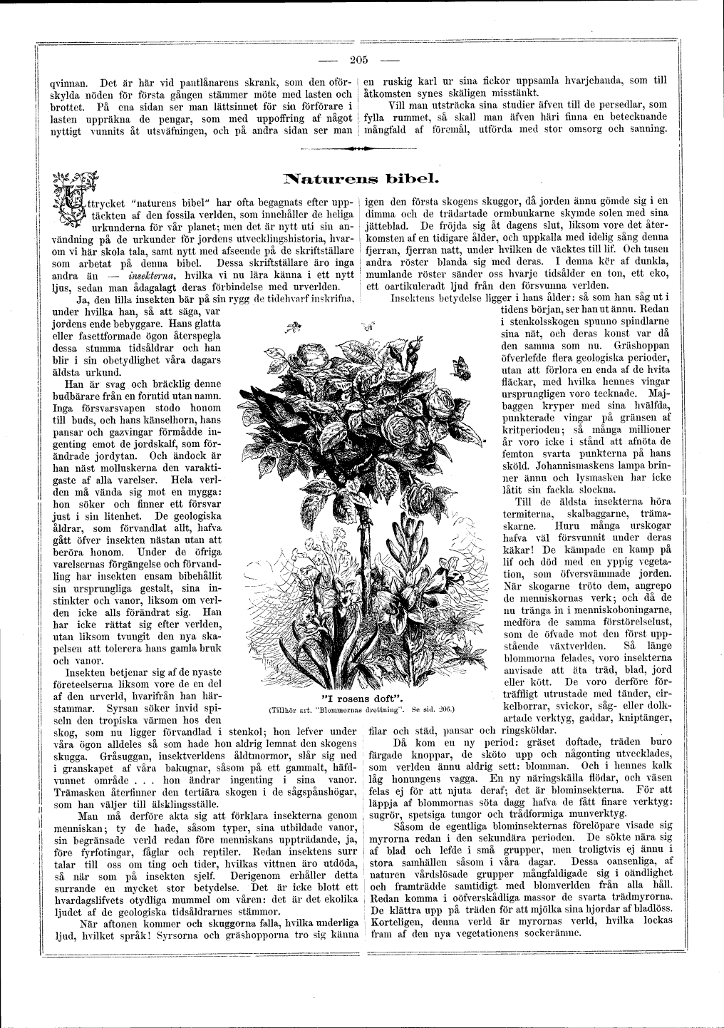 scanned image