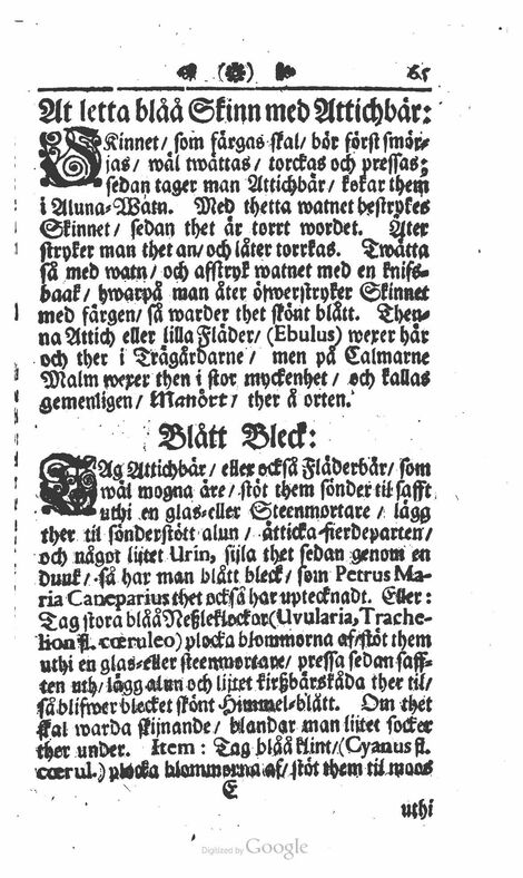 scanned image