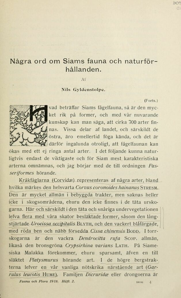 scanned image