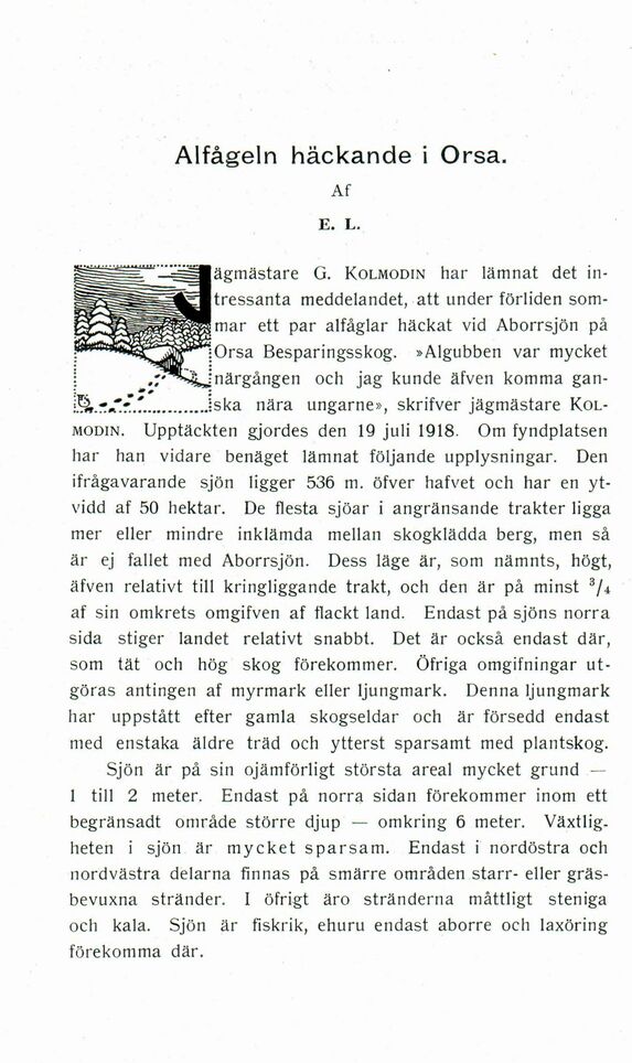 scanned image