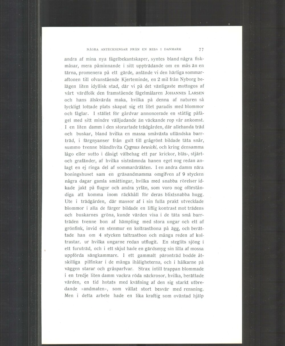scanned image